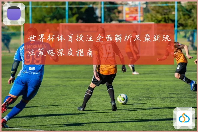 世界杯体育投注全面解析及最新玩法策略深度指南