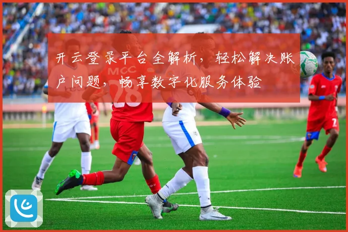 开云登录平台全解析，轻松解决账户问题，畅享数字化服务体验