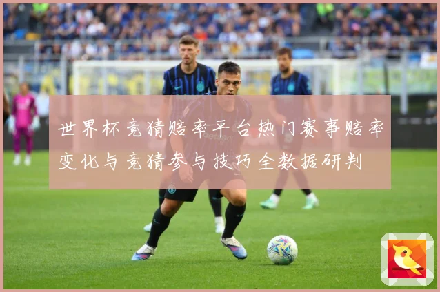 世界杯竞猜赔率平台热门赛事赔率变化与竞猜参与技巧全数据研判