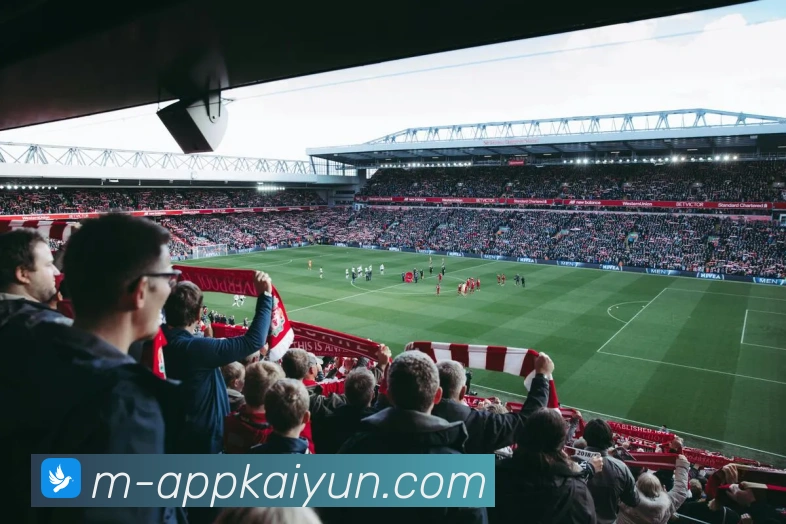 开云平台展示图